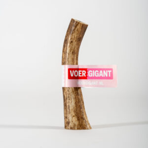 Hertengewei L ( 151-225 gram ) 1 stuk